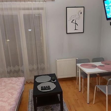 Homelyapartment Krakau Buitenkant foto