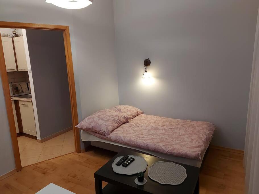 Homelyapartment Krakau Buitenkant foto