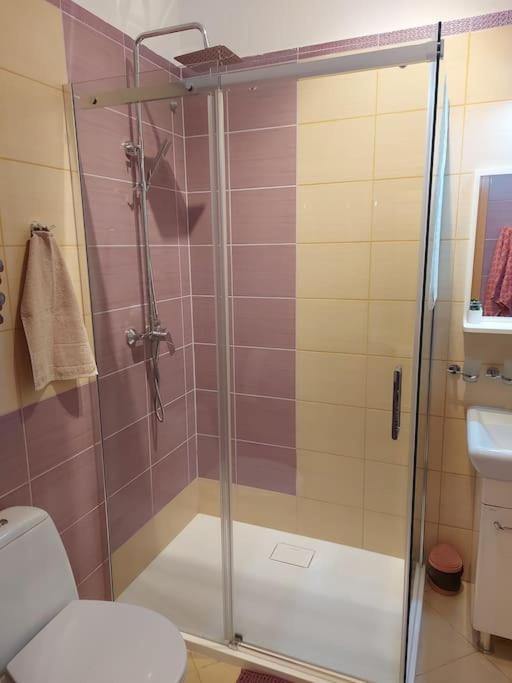 Homelyapartment Krakau Buitenkant foto